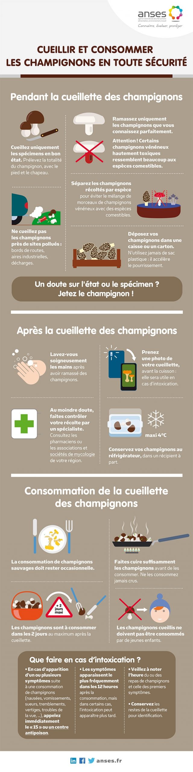 Choses importantes à faire au début de l’année : voici comment changer votre pharmacie à domicile !